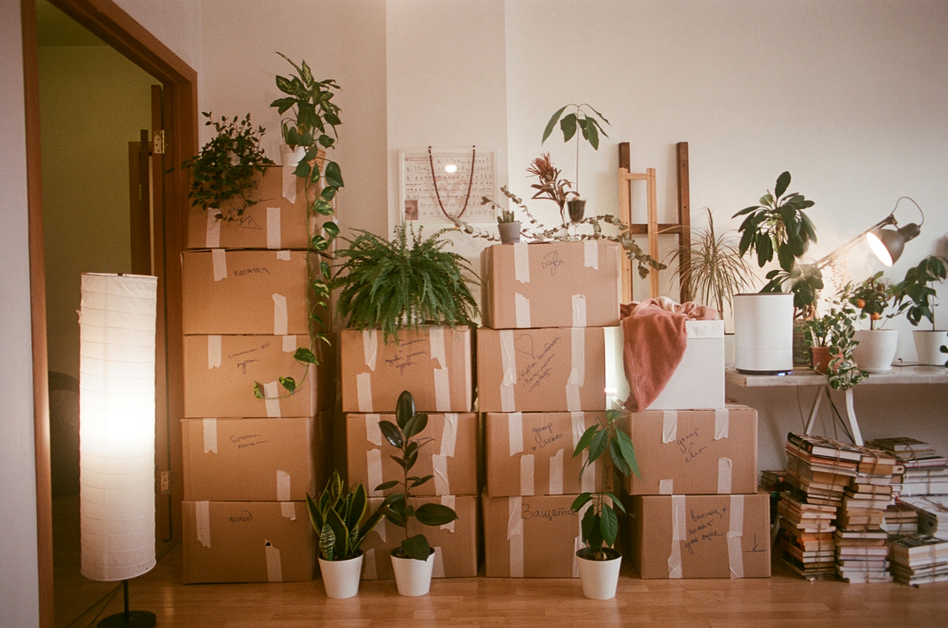Move-Out Clean